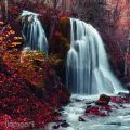PVC Aquarium River Background Poster Fish Tank Wall Paper Sticker Decoration. 