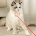 Lovinland Smart Laser Cat Toy Wearable Automatic Teasing Cat Collar USB Charging Collars Interactive Training Kitten. 