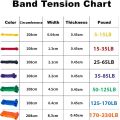 Pull Up Rubber Bands Resistance Bands Set Training Loop Bands with Handles Door Anchor Workout Exercise Fitness Power Bands. 