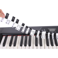 OYPFXMI 2 PCS 88 Keys Removable Piano KEY Labels Piano Keyboard Stickers Piano Notes Marker for Beginners Students Black+White. 