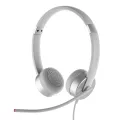 Lenovo 100 Stereo 
Analogue Headset. 