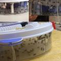 Rotating Fly Catcher USB type Electric Fly Trap with bait Pest Control Electric anti Fly Killer Trap Pest Catcher. 