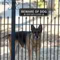 Beware of Dog Sign Beware Dog Sign Paw Print Gate Closed Durable Aluminum Warning Home Outdoor Outdoor Dog Sign. 