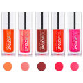 Aliver Hydrating Transparent Plumping Lip Gloss 05 Color/Set. 