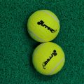 Arrow Tennis Ball. 