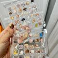 【Best value】 New Transparent Magnetic Seashell Display Box Mini Plastic Seashell Storage Box Large-capacity 36/64/100 Grids Seashell Collection Case. 
