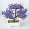 Artificial Plastic Plants Bonsai Small Tree Pot Fake Plant Potted Flower Home Room Table Decoration Garden Arrangement Ornaments. 