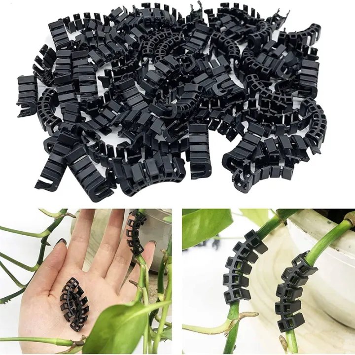 100Pcs%20Plant%20Benders%20for%20Low%20Stress%20Training,%20Plant%20Training%20Clips,%20Plant%20Supports%20Control%20the%20Growth%20of%20Plants%20-%20Image%207