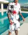 Hawaii Men's Clothing 2 Piece Set Sports Suit Oversized T-shirt Hip Hop Swimming Pants 3D Streetwear Casual Tracksuit. 