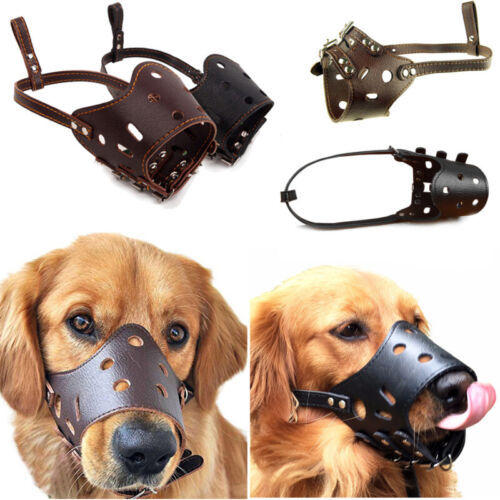 Dog Mouth Muzzles Daraz.lk Buy Online at Best Prices in Srilanka Daraz.lk