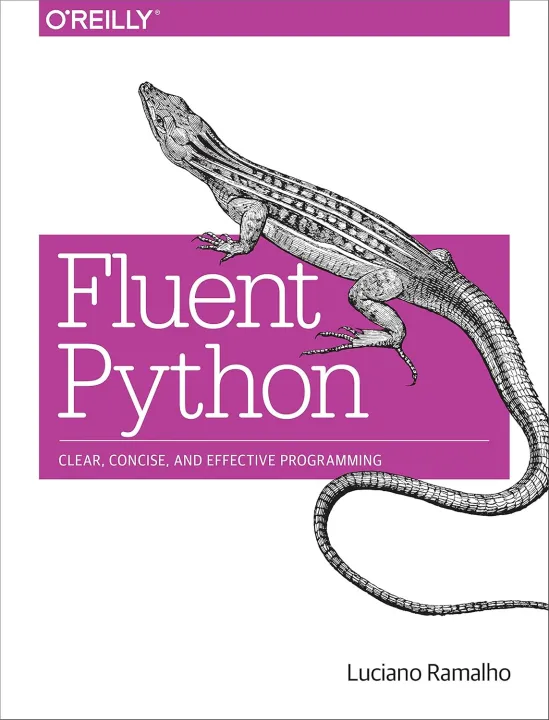 Fluent%20Python%20-%20Image%202