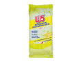 W5 Antibacterial Multi-Surface Wipes Citrus 80s (Uk). 