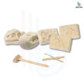 Dinosaur Toys Dino Toy 5 in 1 Dinosaurs Fossil Bones Excavation Prehistoric animal Dig up Dino Best selling toy 2020 DIY Learning Educational STEM Science Kit Toy for Kids Gift. 