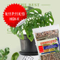 Osmocote High-K (N:11 P:11 K:19) Superior fertilizer for long-term growth 100g. 