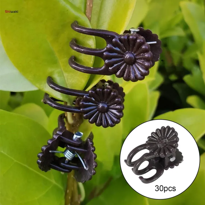 30%20Pieces%20Flower%20Clips,%20Vine%20Clamp%20Plant%20Support,%20Butterfly%20Orchid%20Clips%20Accessories%20Tools,%20Garden%20Plant%20Clips%20for%20Bouquets%20Stems%20Cucumbers%20-%20Image%204