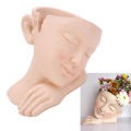 BHDK Resin Flower Pot Vase Modern Design Cute Face Shape Flower Pot Modern. 