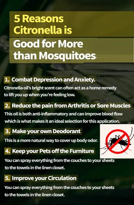 Citronella%20Oil,%20Pangiri%20Thel%2028ml%20use%20as%20an%20antiseptic,%20bactericidal,%20deodorant%20and%20an%20insect%20repellent%20specially%20for%20mosquito,%20%E0%B6%B4%E0%B7%90%E0%B6%9F%E0%B7%92%E0%B6%BB%E0%B7%92%20%E0%B6%AD%E0%B7%99%E0%B6%BD%E0%B7%8A%20-%20Image%202