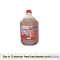 4 L Laundry Liquid Detergents- NATURAL FRESH. 