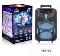 NDR P44 P55 P66 Outdoor Karaoke Parlantes 8 inch Trolley Party Portable Bluetooth Speaker With Led Display Woofer Speaker | INeedz NDR P55. 