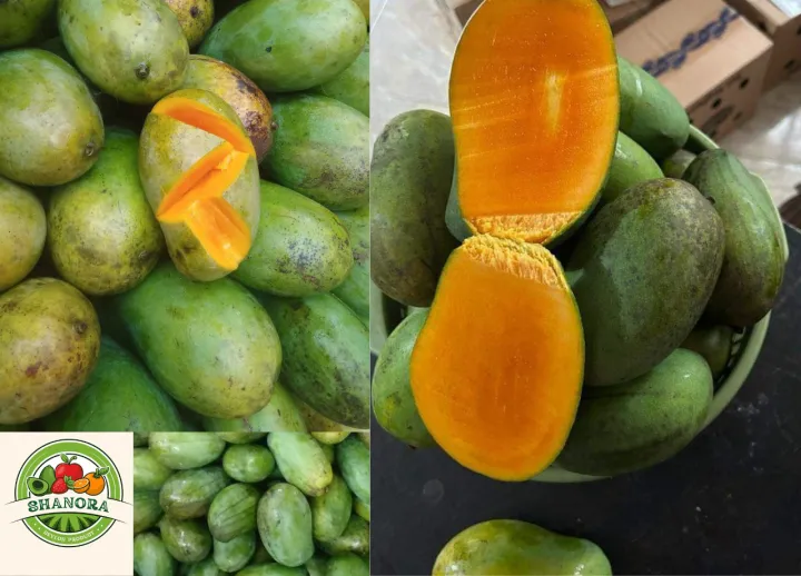 Dehydrated%20Mango%20100%25%20Natural%20Organic%20Dried%20Slices%20-%20Image%208