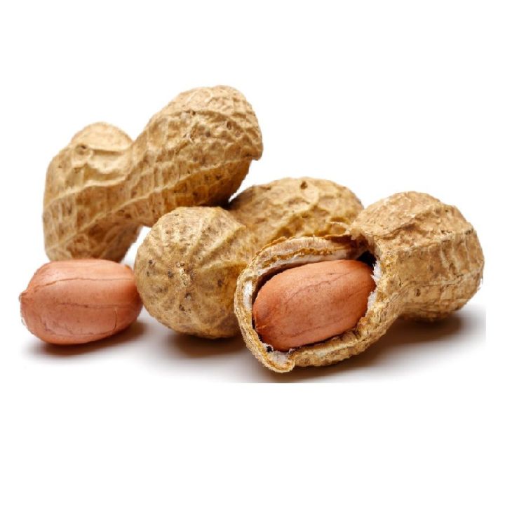 Fresh,%20quality,%20dried%20peanut%20-%2010Kg%20-%20Image%204