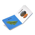 My First Vegetables - Board Book. 