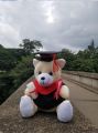 Graduation Teddy Bear Graduation Gift Toy Teddy Bear. 