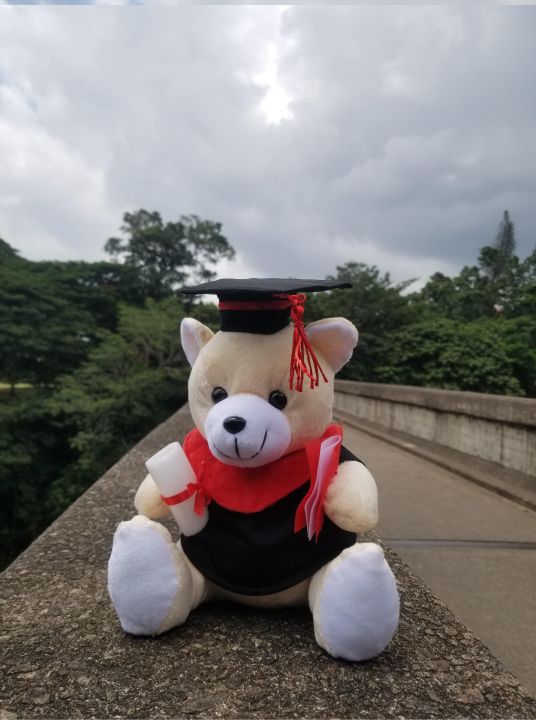 Graduation%20Teddy%20Bear%20Graduation%20Gift%20Toy%20Teddy%20Bear%20-%20Image%205