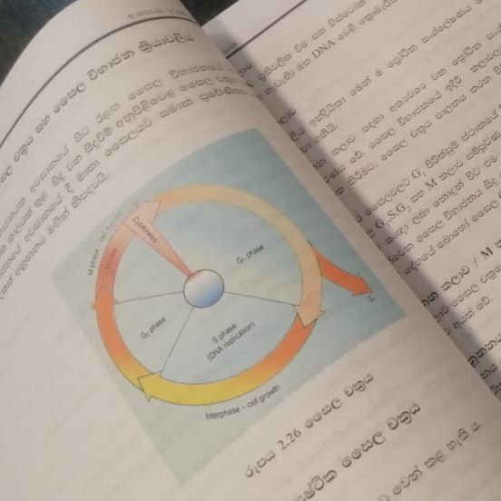 %E0%B6%A2%E0%B7%93%E0%B7%80%20%E0%B7%80%E0%B7%92%E0%B6%AF%E0%B7%8A%E2%80%8D%E0%B6%BA%E0%B7%8F%E0%B7%80%205-ii,6,7,8,9,10%20%20(AIO)%20%E0%B7%80%E0%B6%BB%E0%B7%8A%E0%B6%AB%20%E0%B6%B8%E0%B7%94%E0%B6%AF%E0%B7%8A%E2%80%8D%E0%B6%BB%E0%B6%AB%E0%B6%BA%20Advanced%20level%20biology%20resource%20book%20(All%20in%20One)%20color%20grade%2013%20-%20sinhala%20medium%20-%20Image%202