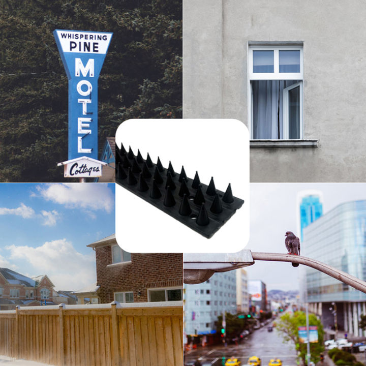 1 Pc Plastic Bird Spike Wall Fence Spikes Yard Bird Spikes For Anti ...