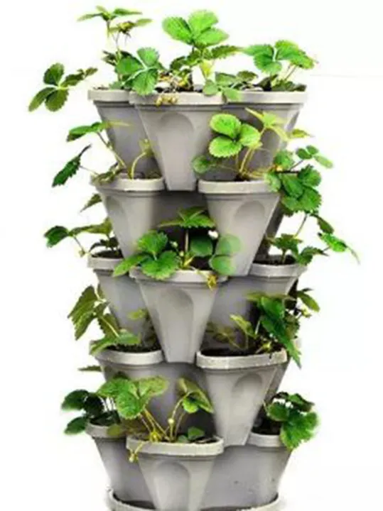 10%20Pots%20-%20Plastic%20Tower%20pots%20(30cm%20x%2015.5cm)%20-%20Image%203