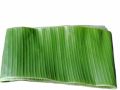 Banana Leaf. 