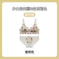 TZ Japanese Style Sweet Lace Vintage Rose Flower Underwear Women's Thin Push-Up No-Rings Comfortable Breathable Bra Set. 