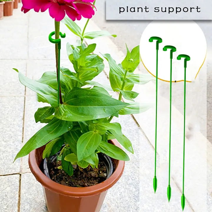 30%20Pack%20Plant%20Support%20Stakes%20Garden%20Single%20Stemmed%20Plant%20Support%20Plant%20Stakes,%20Plant%20Prop,%20Plant%20Sticks%20-%20Image%205