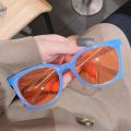 Square Cat Eye Sunglasses Ladies Tawny Sunglasses Travel Sunglasses Photograph. 