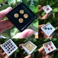 Wholesale Gemstones Collection Box Loose Diamond Jewelry Display Case Holder Gem Show Storage Container Box Plastic White Black. 