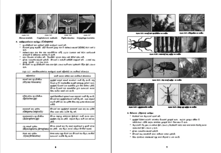 --%20%E0%B6%9A%E0%B7%98%E0%B7%82%E0%B7%92%20%E0%B7%80%E0%B7%92%E0%B6%AF%E0%B7%8A%E2%80%8D%E0%B6%BA%E0%B7%8F%E0%B7%80%2013%20--%20%20%E0%B6%9A%E0%B7%85%E0%B7%94%20-%20%E0%B7%83%E0%B7%94%E0%B6%AF%E0%B7%94%20Agricultural%20Science%20Reference%20Book%20-%20Agri%20-%20Grade%2013%20%20Black%20%20Print%20-%20Image%205