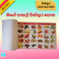 My School Picture Book - Cut & Paste Grade 1-5 kids Sinhala Tamil English children. 