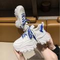 Niche Dad Shoes Women 2024 Spring and Summer Popular Thick Bottom Elevator Wild Casual Sneaker ins Tide. 