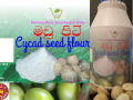 Cycad Seed Flour ( මඩු පිටි ) High quality Cycad seed  flour harvested from rare species of Cycad plants. 