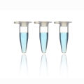 【EleganceEssence】Wholesale Micro 0.2ml Centrifuge Tube 50 Test Tubes Transparent Plastic Tube Container Science Laboratory Test Accessories Lid. 