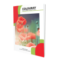 Colouray B5 Exercise Book - 120pgs - Singe Rule. 