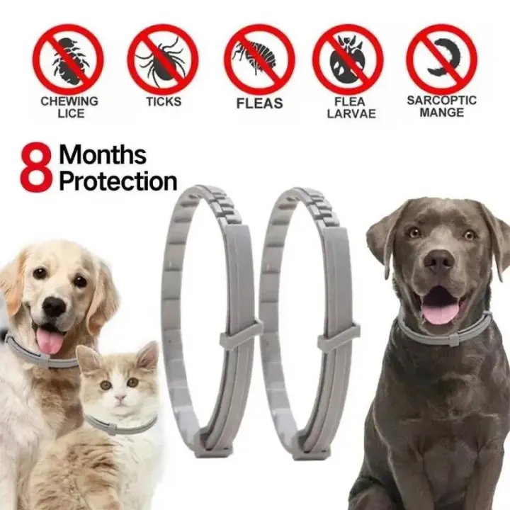 New%2038/70CM%20Pet%20Anti%20Flea%20Ticks%20Antiparasitic%20Cats%20Collar%20Dog%20Protection%20Retractable%20Collars%20For%20Puppy%20Cat%20Large%20Dogs%20Accessorie%20-%20Image%202