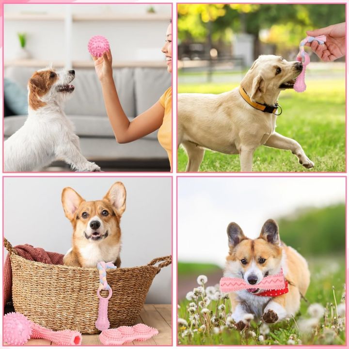 5-piece%20set%20of%20small%20dog%20teeth%20grinding%20toys,%20soft%20rubber%20cute%20pink%20dog%20toys,%20teeth%20cleaning%20toys,%20soft%20rubber%20rope%20dog%20toys,%20fu%20-%20Image%206