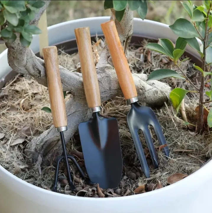 Gardening%20Tools%20kit%20Hand%20Cultivator,%20Small%20Trowel,%20Garden%20Fork%20(Set%20of%203)%20-%20Image%208