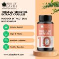 Bliss of Earth Tribulus Terrestris For Men, Tribulus Supplement, High Potency Gokshura Extract, 500mg Supply Per Serving, 60 Veg Capsules For Stamina & Muscle Growth  FROM DUBAI (SAM). 