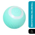 Gravitational Rolling Ball for cats & kittens. 