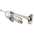 ROWELL Bb Trumpet Professional Trumpet for Student, Brass Instruments Standard Trumpet Set, with Professional Trumpet Box, Cleaning Kit,Original 7C trumpet Mouthpiece, Cloth and Gloves (Silver). 