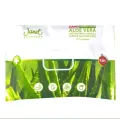 Janet Anti-Bacterial Hands & Surface Sanitizer Wipes. 