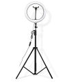 10 Inch Selfie Ring Light, LED Ring Light with 7 feet Tripod Mount and Phone Holder, Desktop Circle Light for YouTube Video, TikTok, Live Stream, Makeup - Beauty Ring Light for iPhone and android cell phone + Free Gift. 